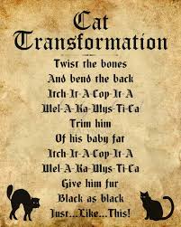 animal transformation spell